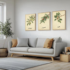Set of 3 framed canvas triptych featuring botanical illustrations of olive, pine and walnut branches with Arabic calligraphy labels on a warm cream background, displayed above a neutral sofa in a modern living room.