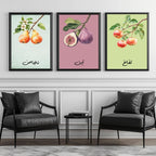 Set of 3 framed canvas triptych featuring soft watercolor botanical illustrations of pear, fig and apple branches with Arabic calligraphy labels on pastel mint, pink and green backgrounds, displayed above a neutral sofa.