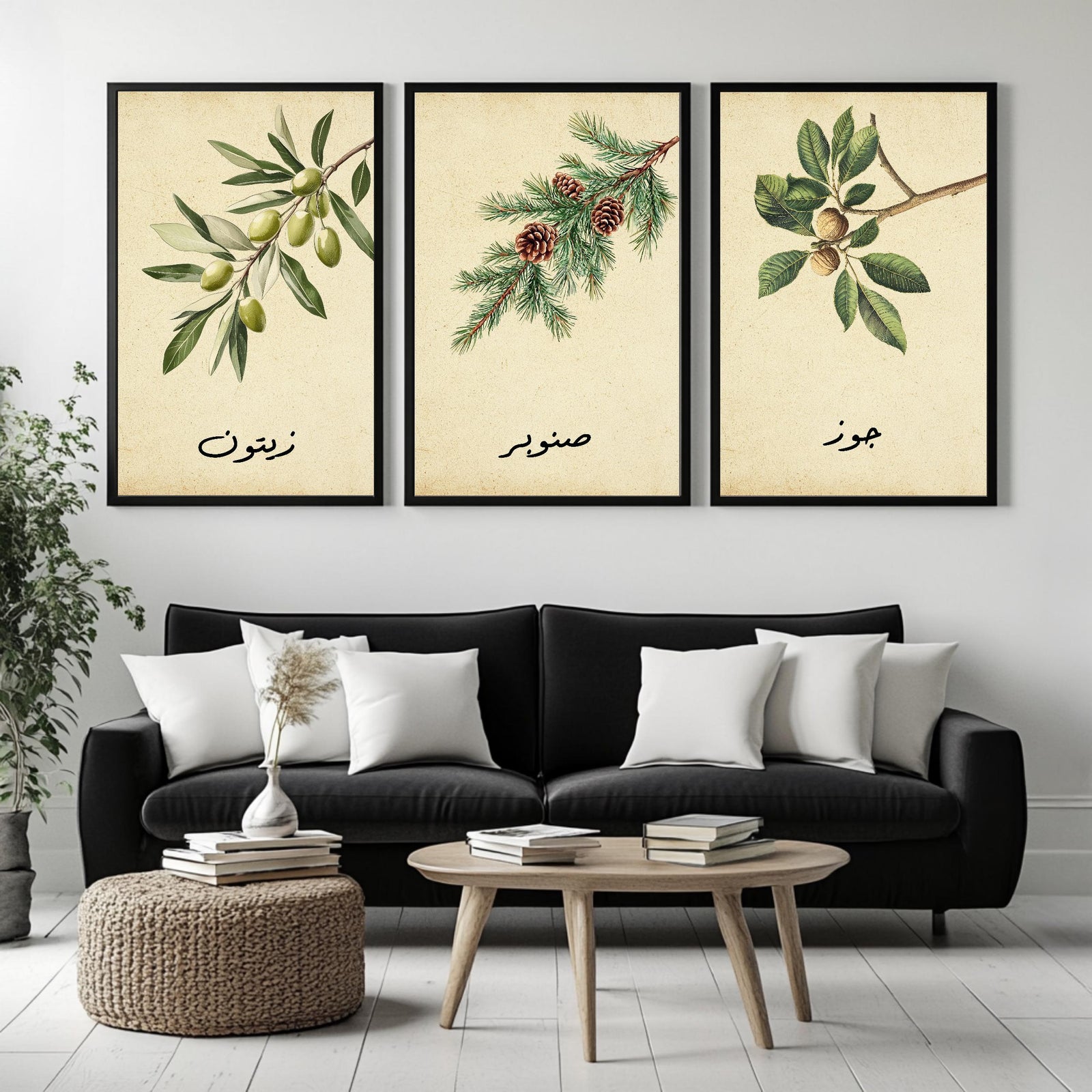 Set of 3 framed canvas triptych featuring botanical illustrations of olive, pine and walnut branches with Arabic calligraphy labels on a warm cream background, displayed above a neutral sofa in a modern living room.