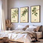 Set of 3 framed canvas triptych featuring botanical illustrations of olive, pine and walnut branches with Arabic calligraphy labels on a warm cream background, displayed above a neutral sofa in a modern living room.