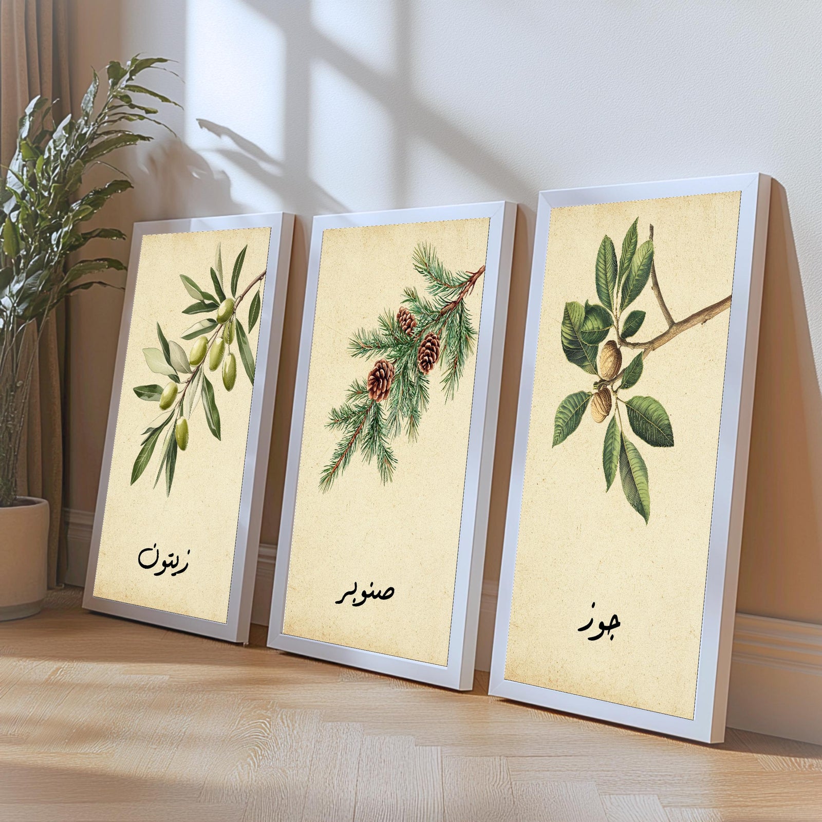 Set of 3 framed canvas triptych featuring botanical illustrations of olive, pine and walnut branches with Arabic calligraphy labels on a warm cream background, displayed above a neutral sofa in a modern living room.