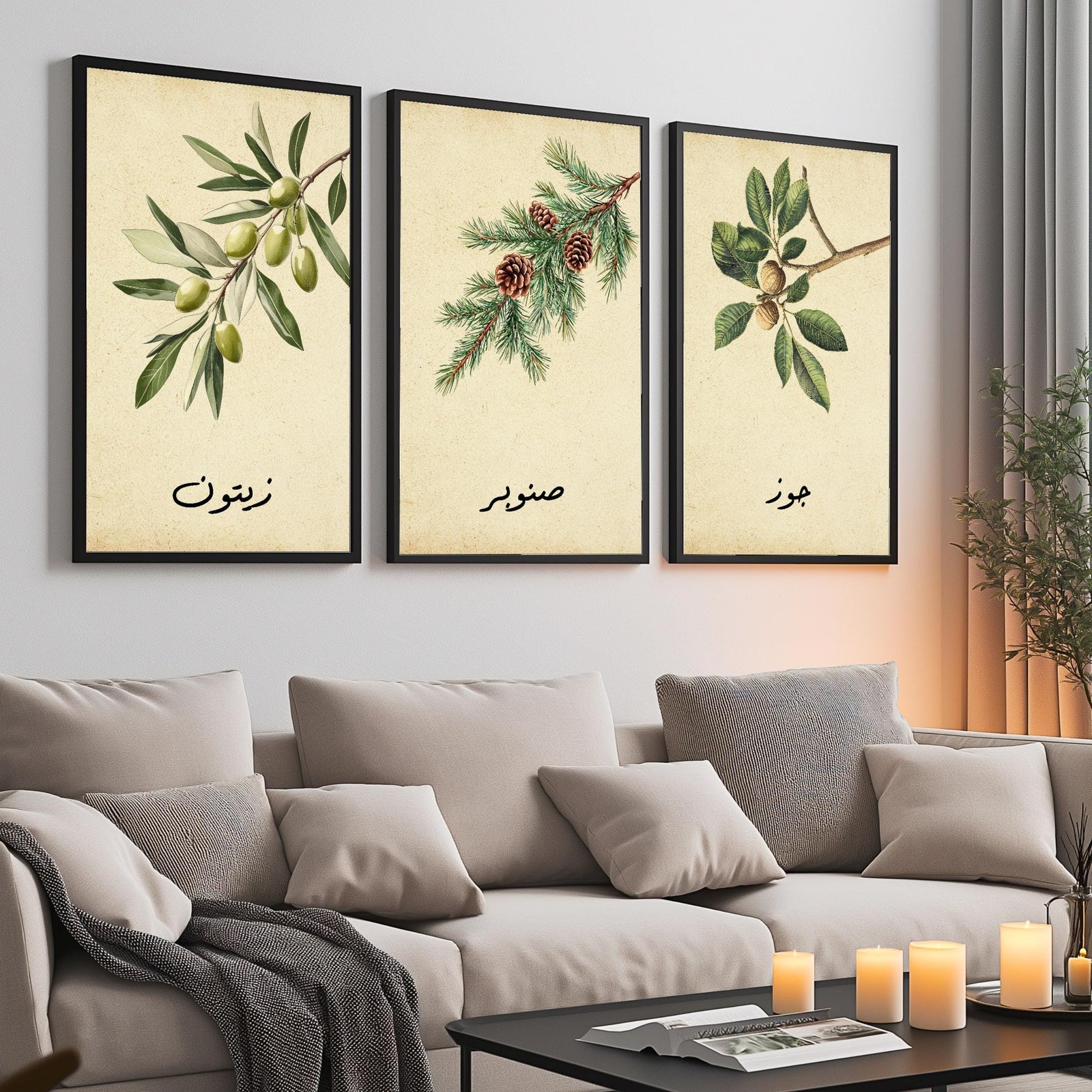 Set of 3 framed canvas triptych featuring botanical illustrations of olive, pine and walnut branches with Arabic calligraphy labels on a warm cream background, displayed above a neutral sofa in a modern living room.