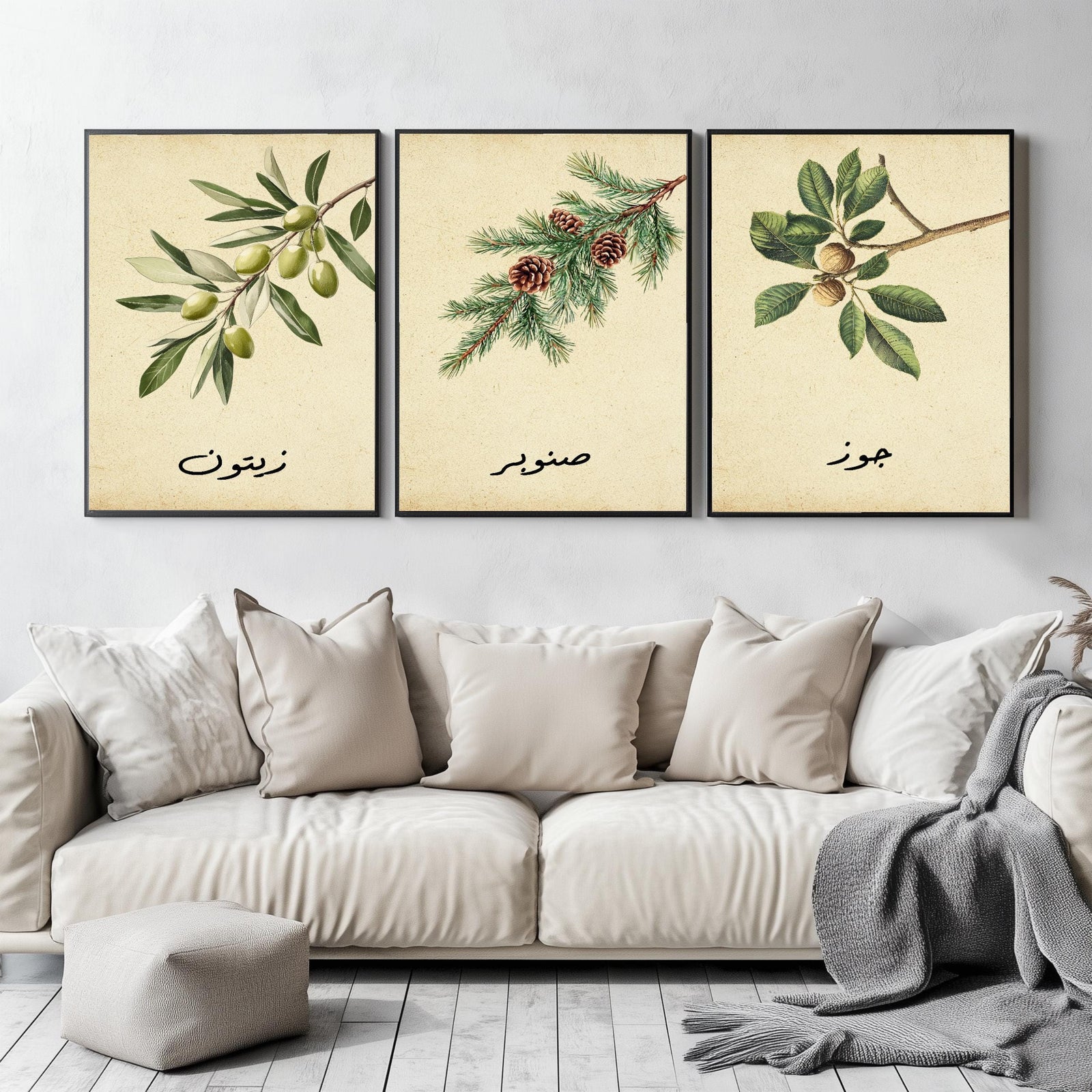 Set of 3 framed canvas triptych featuring botanical illustrations of olive, pine and walnut branches with Arabic calligraphy labels on a warm cream background, displayed above a neutral sofa in a modern living room.