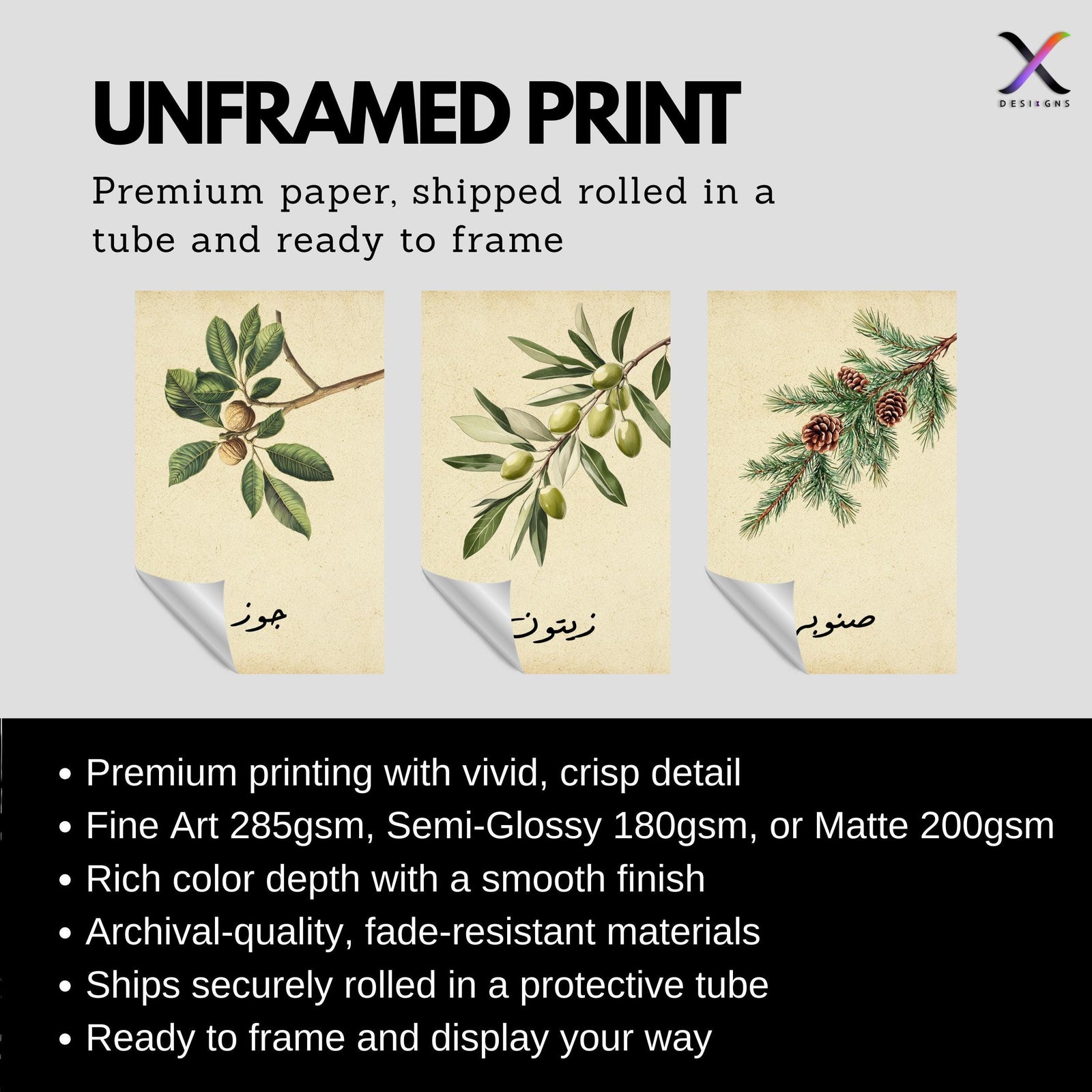 Set of 3 framed canvas triptych featuring botanical illustrations of olive, pine and walnut branches with Arabic calligraphy labels on a warm cream background, displayed above a neutral sofa in a modern living room.