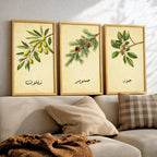 Set of 3 framed canvas triptych featuring botanical illustrations of olive, pine and walnut branches with Arabic calligraphy labels on a warm cream background, displayed above a neutral sofa in a modern living room.
