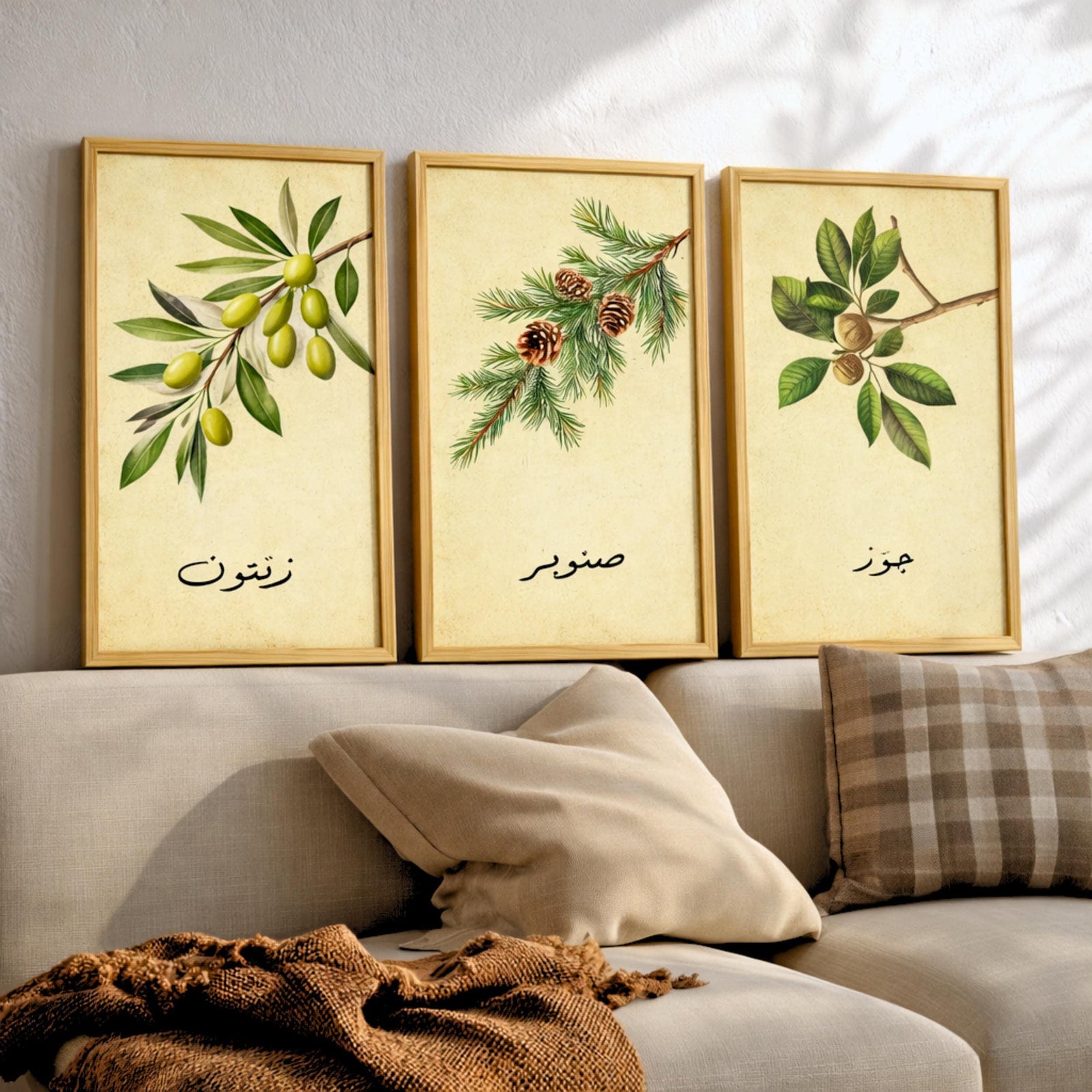 Set of 3 framed canvas triptych featuring botanical illustrations of olive, pine and walnut branches with Arabic calligraphy labels on a warm cream background, displayed above a neutral sofa in a modern living room.