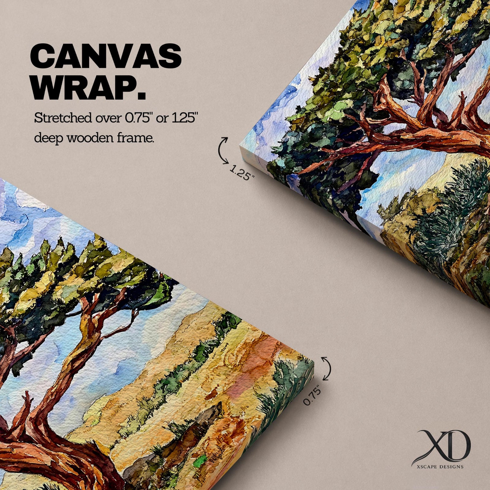 Ancient Tree Wall Art Windswept Cypress Framed Canvas Landscape Botanical Rustic Home Decor