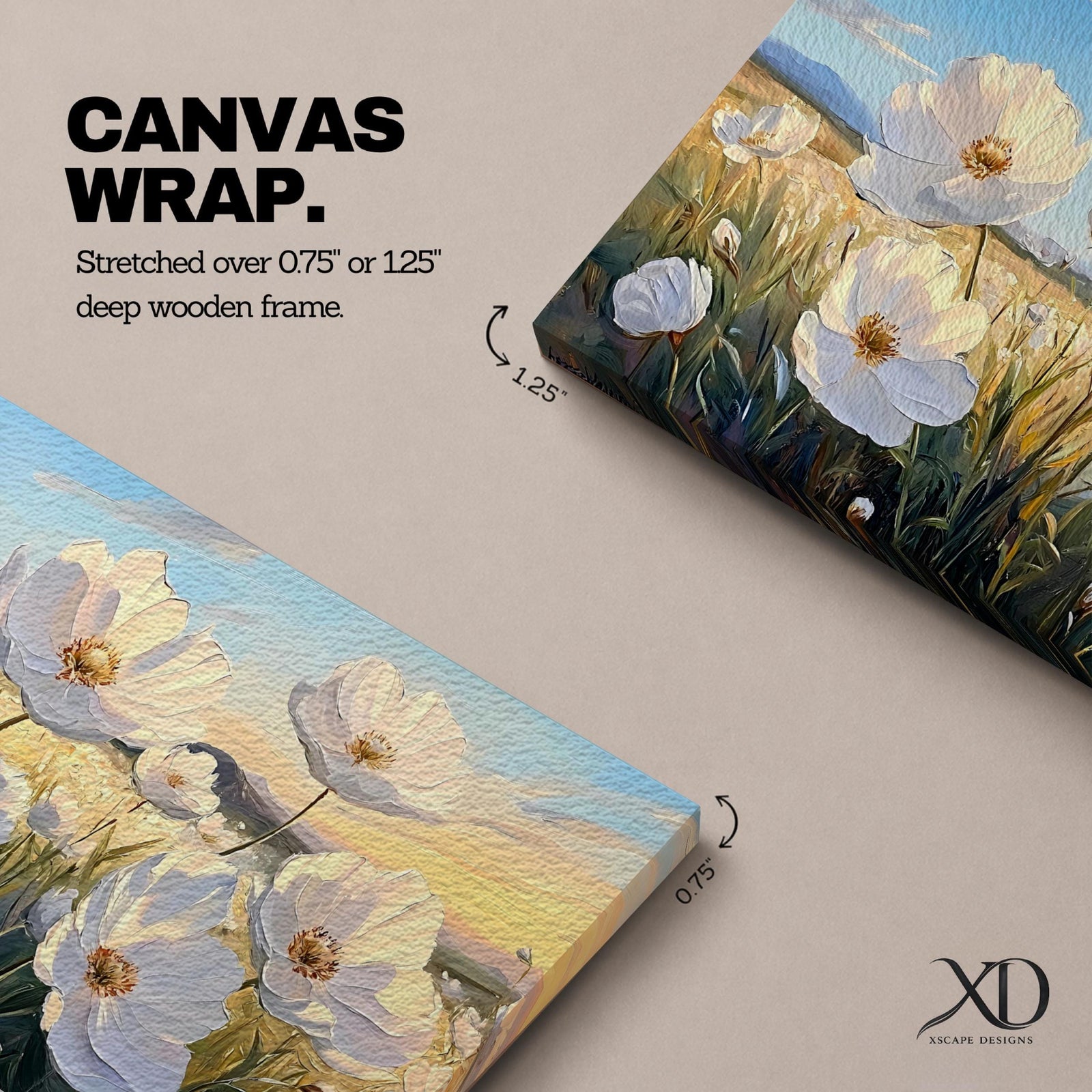 A panoramic painting of white cosmos flowers blooming across a sunlit wildflower meadow with tall green stems and delicate petals glowing in warm evening light. The composition stretches across an open field with distant hills and a soft sky gradient, capturing a botanical landscape with gentle brushstrokes and natural prairie colors.