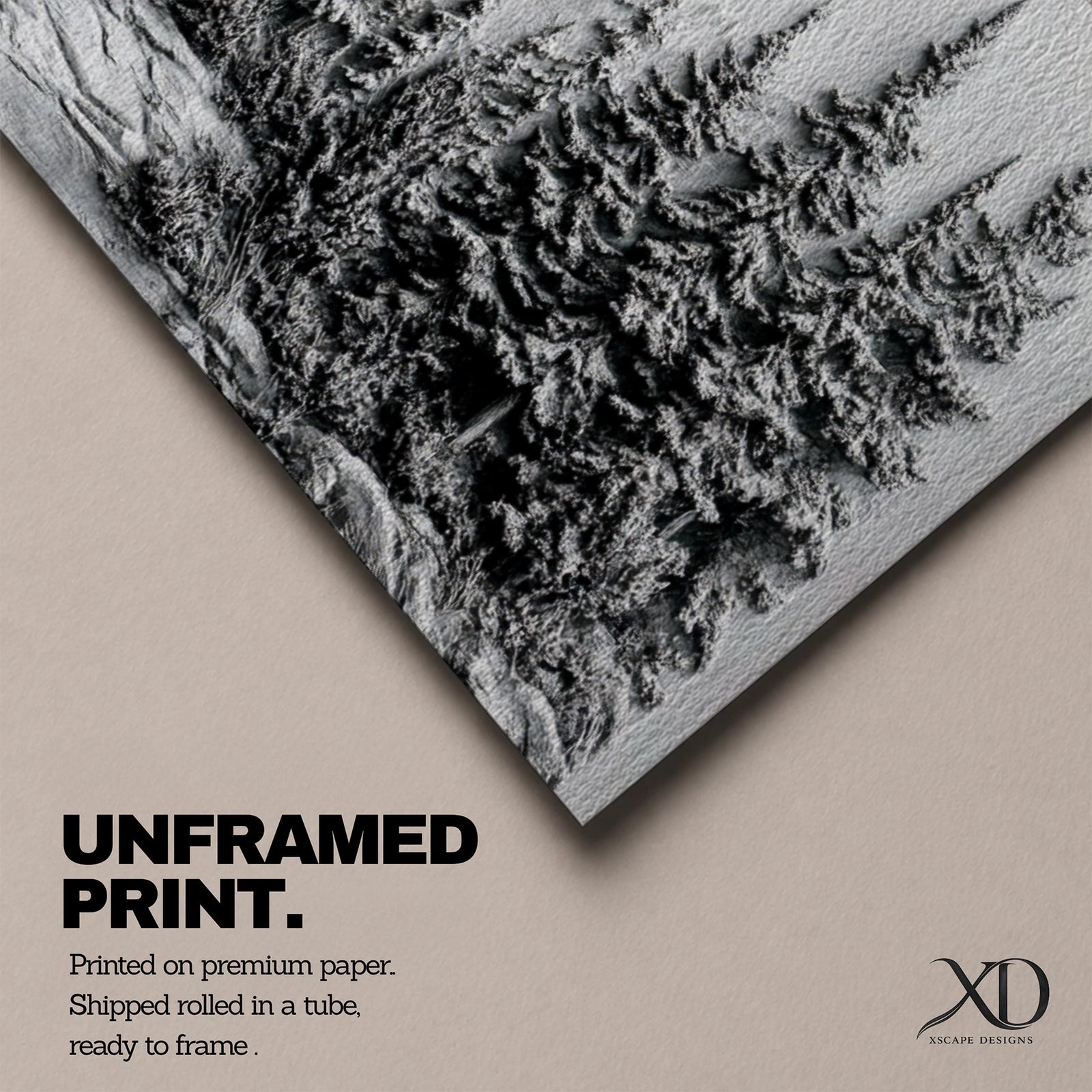 Panoramic monochrome landscape artwork depicting snow covered mountains and a dense pine forest with a winter valley scene rendered in black and white tones.