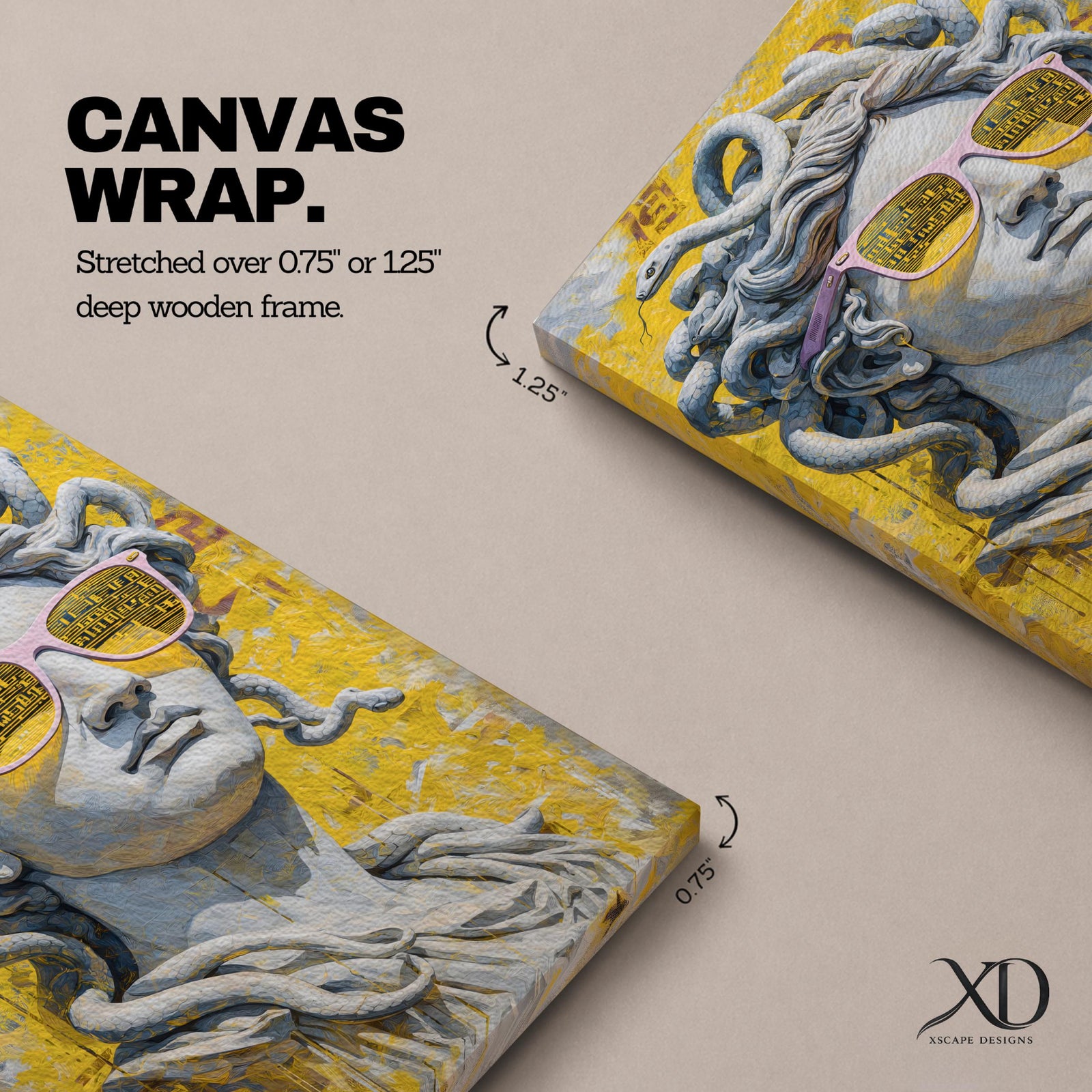 Medusa Wall Art Greek Mythology Framed Canvas Statue Sunglasses Modern Pop Art Decor