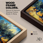 Panoramic painting of Olea europaea olive trees with twisted trunks and dense silvery green foliage growing across a warm Mediterranean grove. Thick expressive brushstrokes and bold contrasts of deep blue sky and golden earth create a post impressionist landscape with rhythmic rows of trees under a glowing sun.
